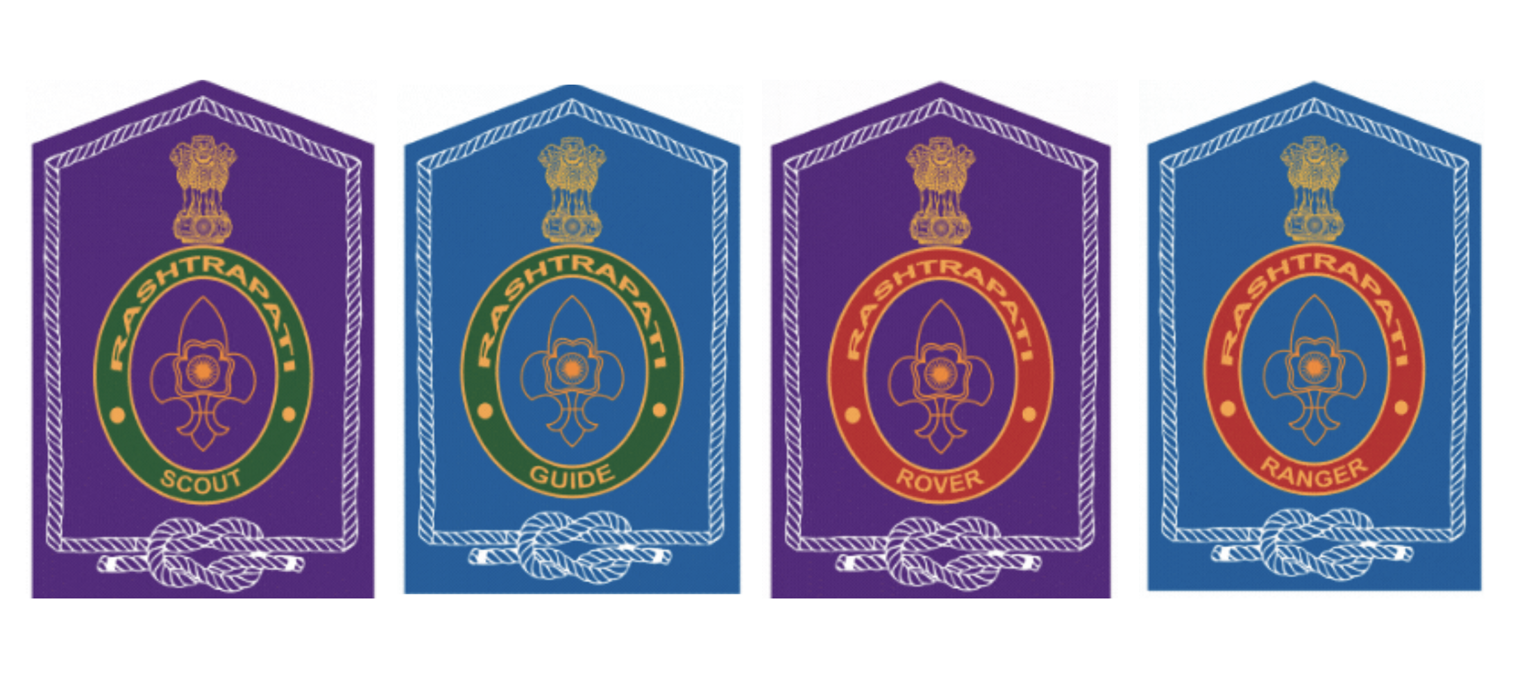 Top Award Scout Image